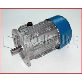 Motor Asíncrono Trifásico B5
